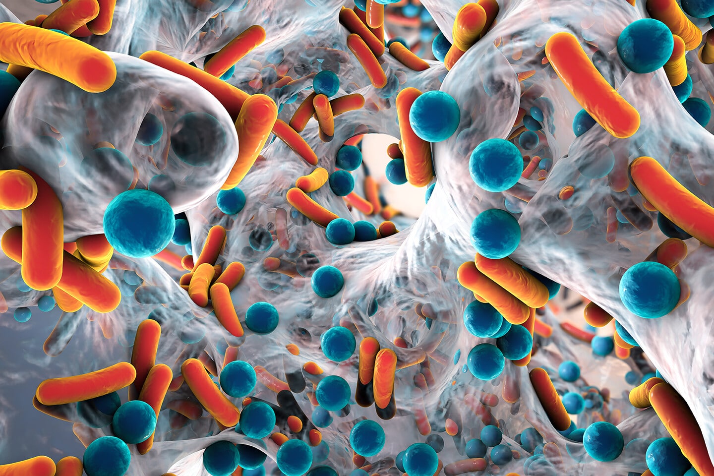 Use of Potential Probiotic Lactic Acid Bacteria (LAB) Biofilms to Reduce Biofilms
