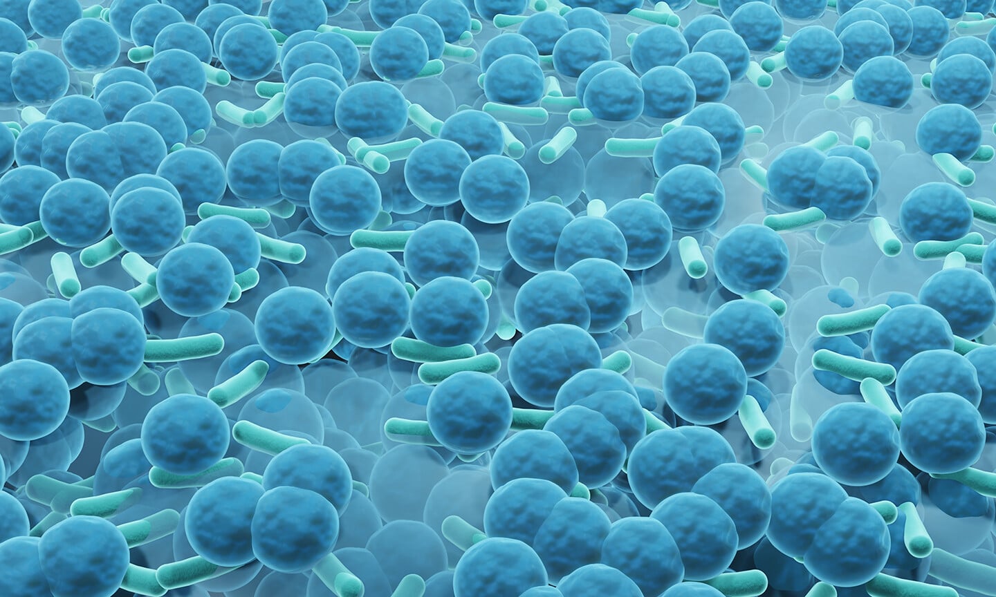 How Fatal Biofilms Form