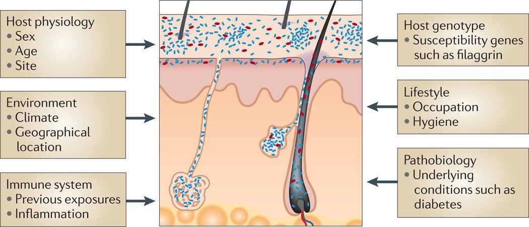 The Skin Biome - Figure 2 The Skin Biome - Figure 2