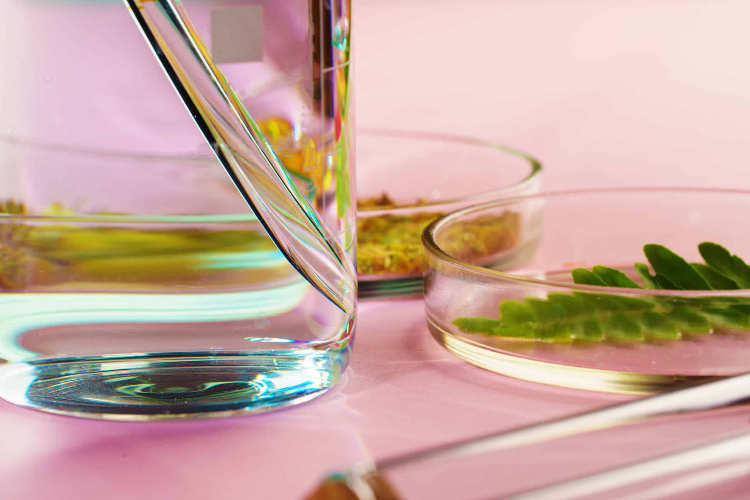 Probiotics and Their Derivatives Against Biofilms